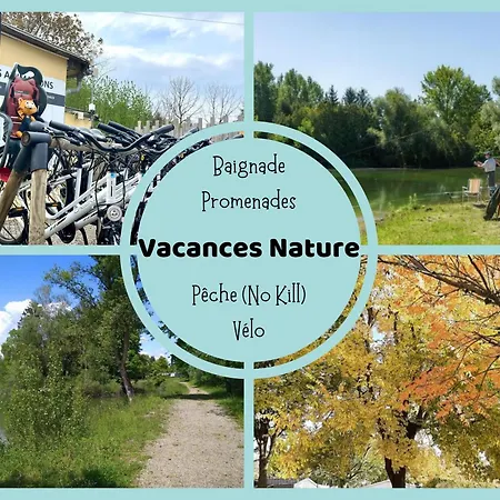 Le G9 - Lumineux Pour 4 Avec Tv Boofzheim